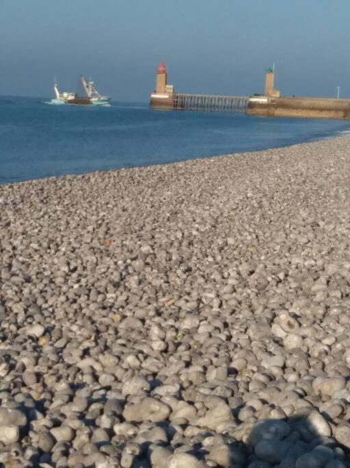 Le Chant Des Mouettes A 300 M De La Mer Et Du Port Fécamp Kültér fotó